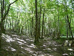 Au nord de Saint-Pantaly-d'Ans.