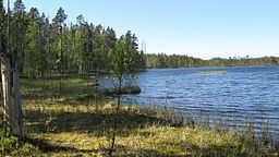 Spitaalijärvi på försommaren 2008