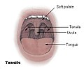 19:31, 13 பெப்பிரவரி 2007 இலிருந்த பதிப்புக்கான சிறு தோற்றம்