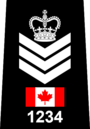 Полиция Торонто - Staff Sergeant.png