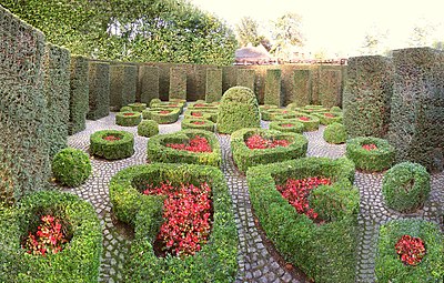 Garden of the Hearts by René Pechère