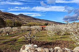 Valle del Jerte – Veduta