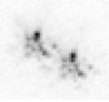 Tipica immagine (in negativo) a breve esposizione di una stella binaria (in questo caso Zeta Boötis) vista dall'interno dell'atmosfera terrestre. Ciascuna stella dovrebbe apparire come un singolo punto, ma l'atmosfera distorce l'immagine del "disco" della stella, originando delle caratteristiche "macchioline" (una in alto a sinistra, l'altra in basso a destra). Le macchie sono poco definite in questa immagine a causa della bassa risoluzione della fotocamera usata. Le piccole macchie si muovono rapidamente l'una intorno all'altra, così che ciascuna stella appare come una singola macchia sfocata nelle immagini a lunga esposizione. Il telescopio impiegato ha un diametro di 7r0.