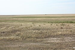 Steppe landscape in Yasnensky District