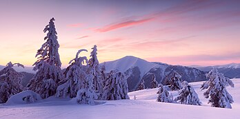 Parque natural nacional de Synevyr no inverno, com a montanha Strymba ao fundo. O Parque Synevyr é um dos parques nacionais da Ucrânia, localizado na região da Transcarpácia, no sudoeste do país. Foi criado em 1974 e cobre uma área de 40 400 hectares. Ele contém uma flora e fauna variada. Suas atrações incluem o lago Synevyr e um santuário de ursos-pardos. Desde 13 de julho de 2017, as seções Darvaika, Kvasovets, Strymba e Vilshany do Parque foram incluídas na Lista do Patrimônio Mundial da UNESCO como um dos maciços de florestas primárias e antigas de faias dos Cárpatos e de outras regiões da Europa. (definição 7 087 × 3 519)