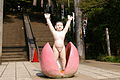 Photo couleur montrant l'enceinte d'un sanctuaire shinto.