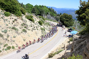 2013 Tour of California Peloton.jpg