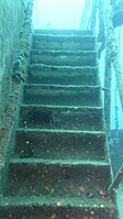 One of the stairwells of the Brianna H. Camera Depth 19.2 metres.