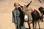 Мальчик стоит в очереди, чтобы получить ветеринарную помощь своим животным у медиков из коалиционных сил специальных операций в районе Гизаб провинции Урузган, Афганистан, 30 ноября 2011 г. 111130-N-UD522-292.jpg