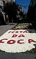 Fiesta de la Coca 2017