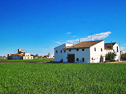 Vista de l'Horta Nord, al terme d'Almàssera