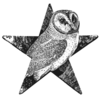 Barn Owl Barnstar