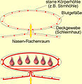 Vorschaubild der Version vom 10:21, 9. Mär. 2007