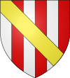 Armes de la famille de Sallenove