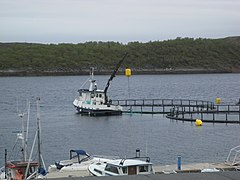 Et servicefartøy vedlikeholder en merd Foto: Norsk havbrukssenter