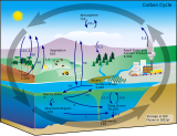 Carbon cycle-cute diagram.svg