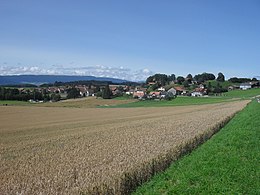 Chavannes-le-Chêne – Veduta