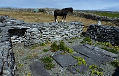 Creggankeel Fort