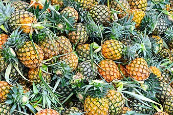 สับปะรด Pine Apple in Thailand