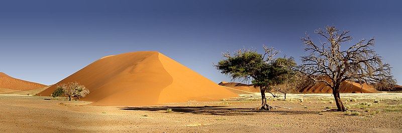 Файл:Dune 45, Sossusvlei (185730408).jpg
