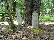 One of three graveyards at Dyea, this one composed almost entirely of victims of a single Avalanche in 1898