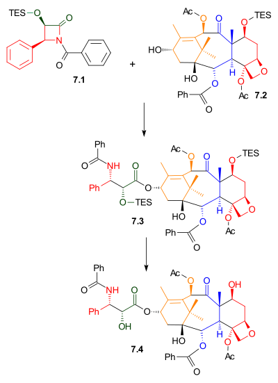 Tail Addition Scheme 7