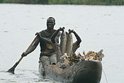 that the Sudd swamp is one of the world's largest wetlands?