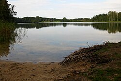 Järvi kuvattuna sen pohjoisrannalta