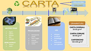 CARTA storia, produzione e usi