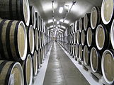 Main cellar of Massandra Winery