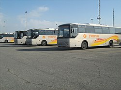 Metropolin-Busses.jpg