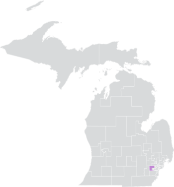Michigan Senate District 7 (2010).png