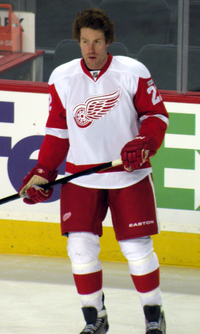 Mike Commodore v dresu Detroit Red Wings.