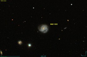 Image illustrative de l’article NGC 1202