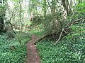 Offa's Dyke path