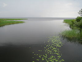 De monding van de Omedu in het Peipusmeer