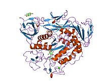 PDB 5cgt EBI.jpg