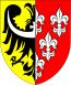 Blason de Powiat de Nysa