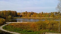 пруд на реке Дубянка в городе Рыбное