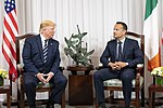 Встреча президента Трампа с даосским народом Ирландии (48012259113) .jpg
