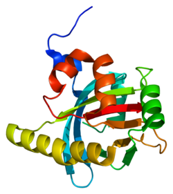 PDB представлено на основе 1ow1.
