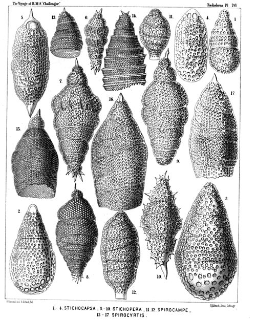 Plate 76.