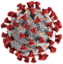 Illustration of a SARS-CoV-2 virion