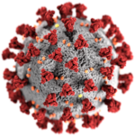 Illustration du coronavirus du CDC