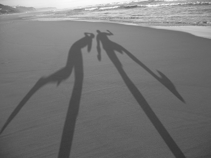 Ficheiro:Shadows-in-the-sand.jpg