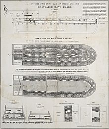 A plan of the slave ship Brookes, showing the extreme overcrowding suffered by slaves on the Middle Passage