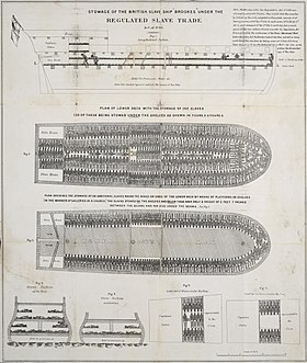 illustration de Leusden (bateau négrier)