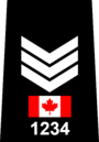 Полиция Торонто - Sergeant.png