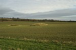 Bowl barrow 250 m south east of Tyning's Farm: part of the Tyning's Farm round barrow cemetery