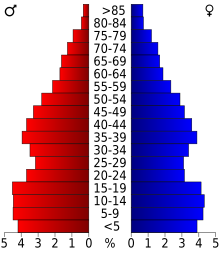 Schéma représentant la population du comté, par tranche d'âge. En rouge, à gauche, les femmes, en bleu à droite, les hommes.